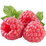 Raspberry Conserve