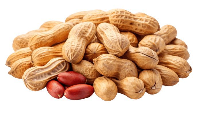 Smooth Peanut Butter
